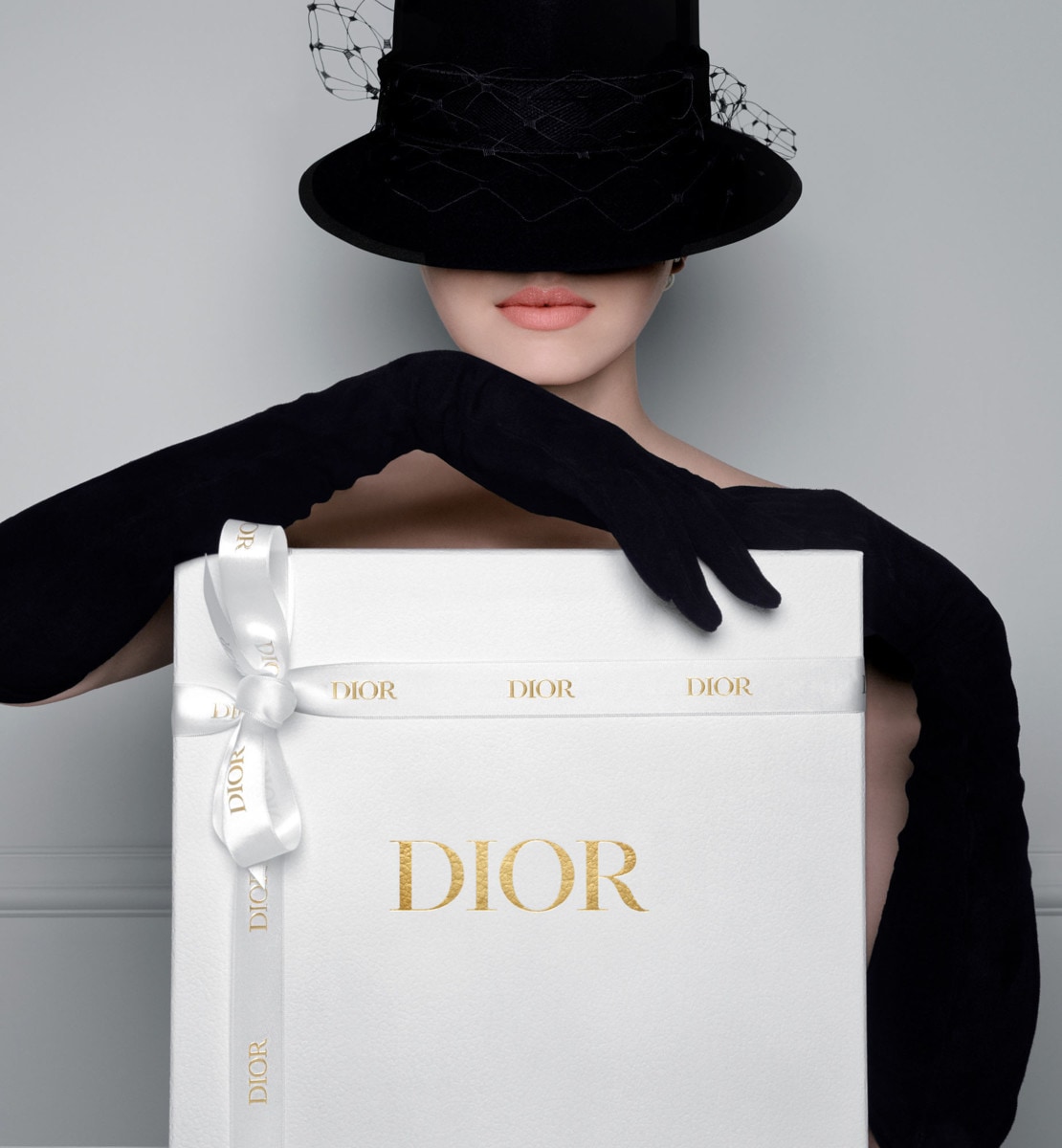 Dior vip membership