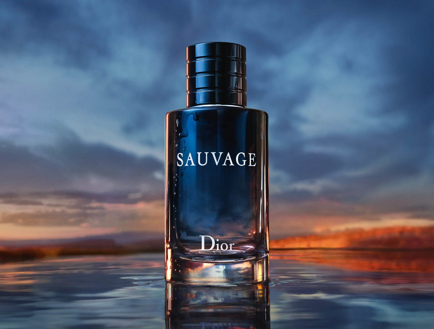 christian dior online