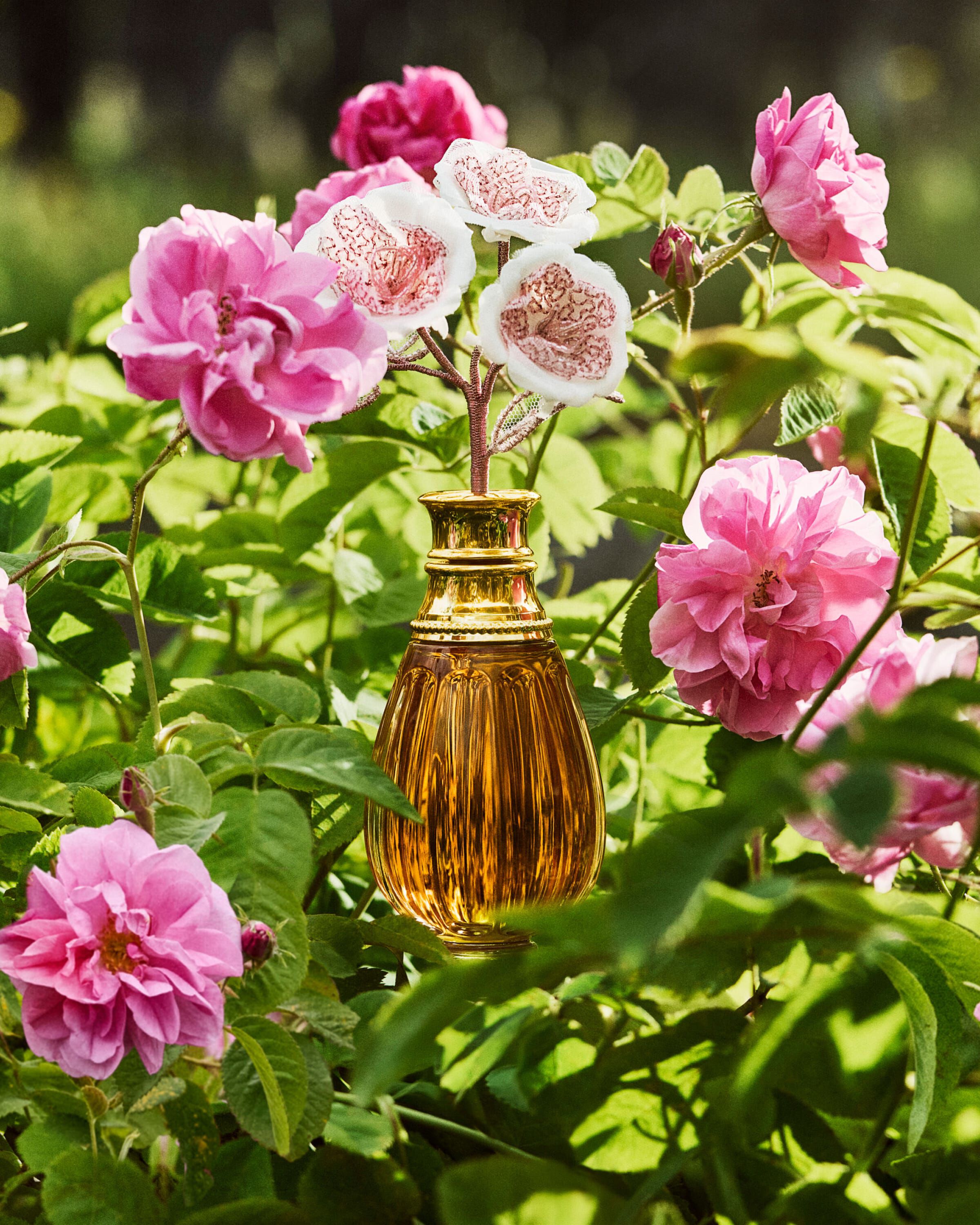 Eau De Toilette Othoniel Rosa Perfume Diptyque Othoniel Rosa