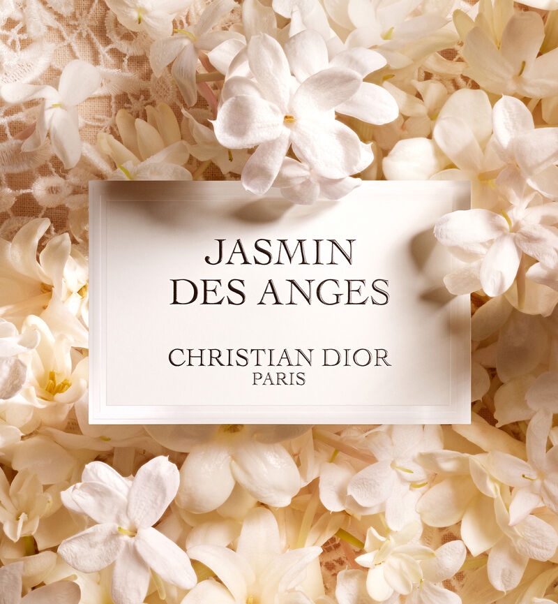 Jasmin des Anges-&eacute;dition limit&eacute;e