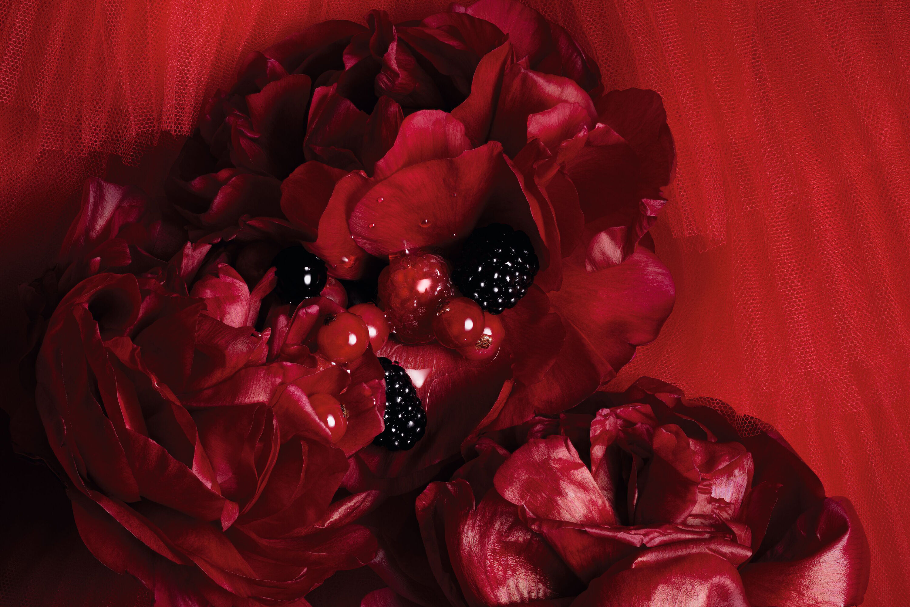 DIOR】 新作 メゾン クリスチャン ディオール ルージュ トラファルガー