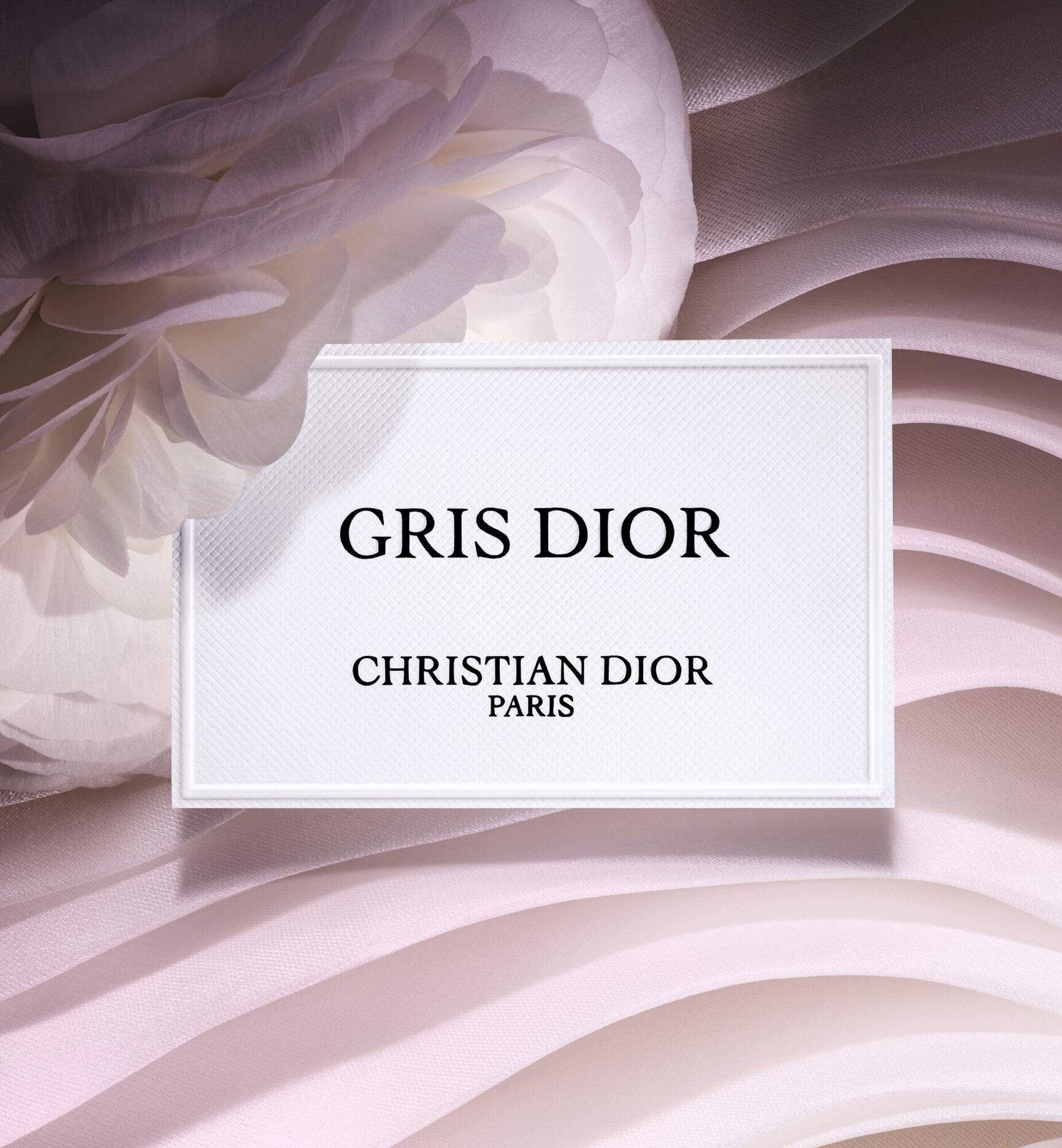 DIOR】 新作 メゾン クリスチャン ディオール グリ ディオール ラ コ