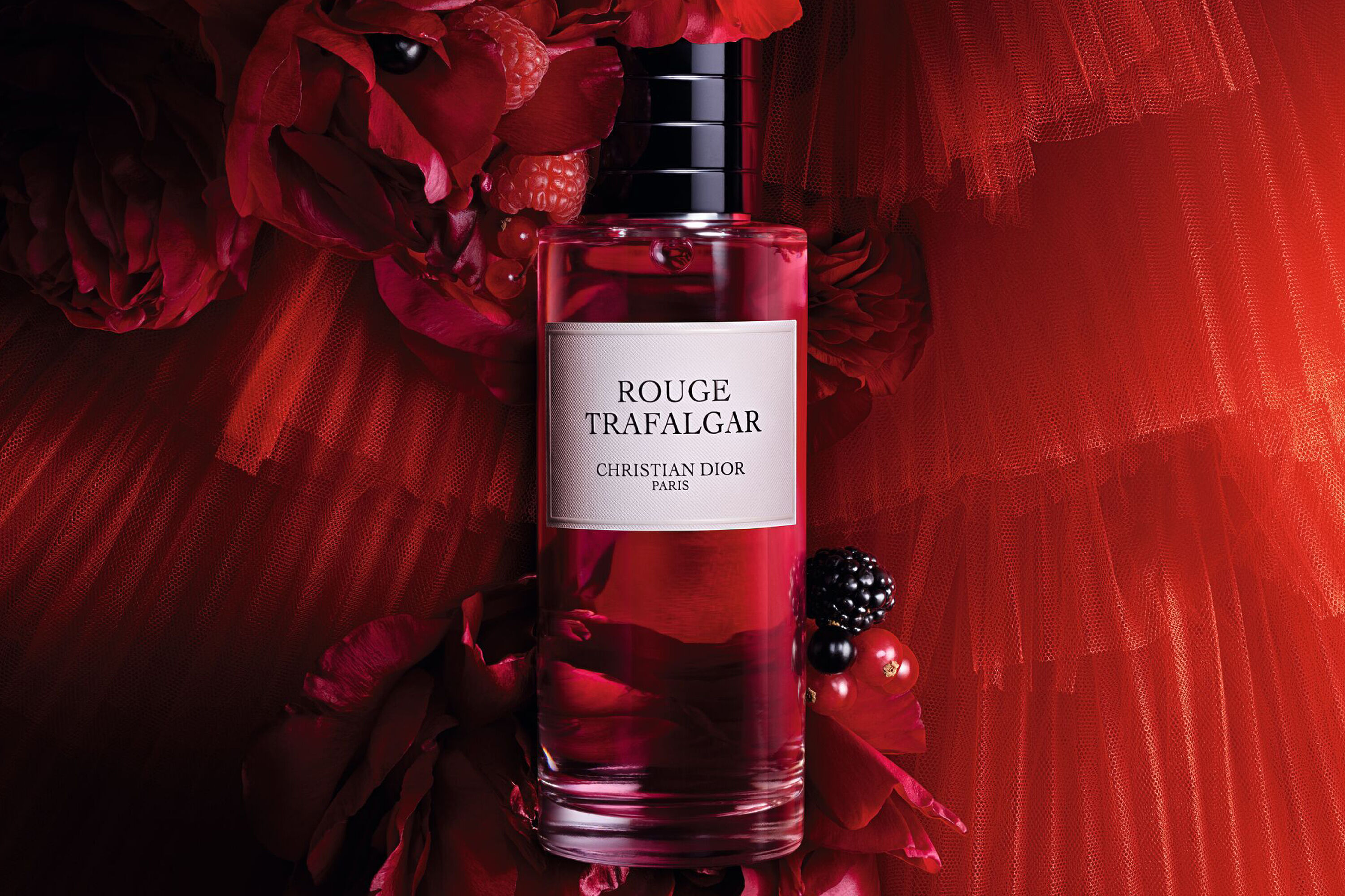 DIOR】 新作 メゾン クリスチャン ディオール ルージュ トラファルガー