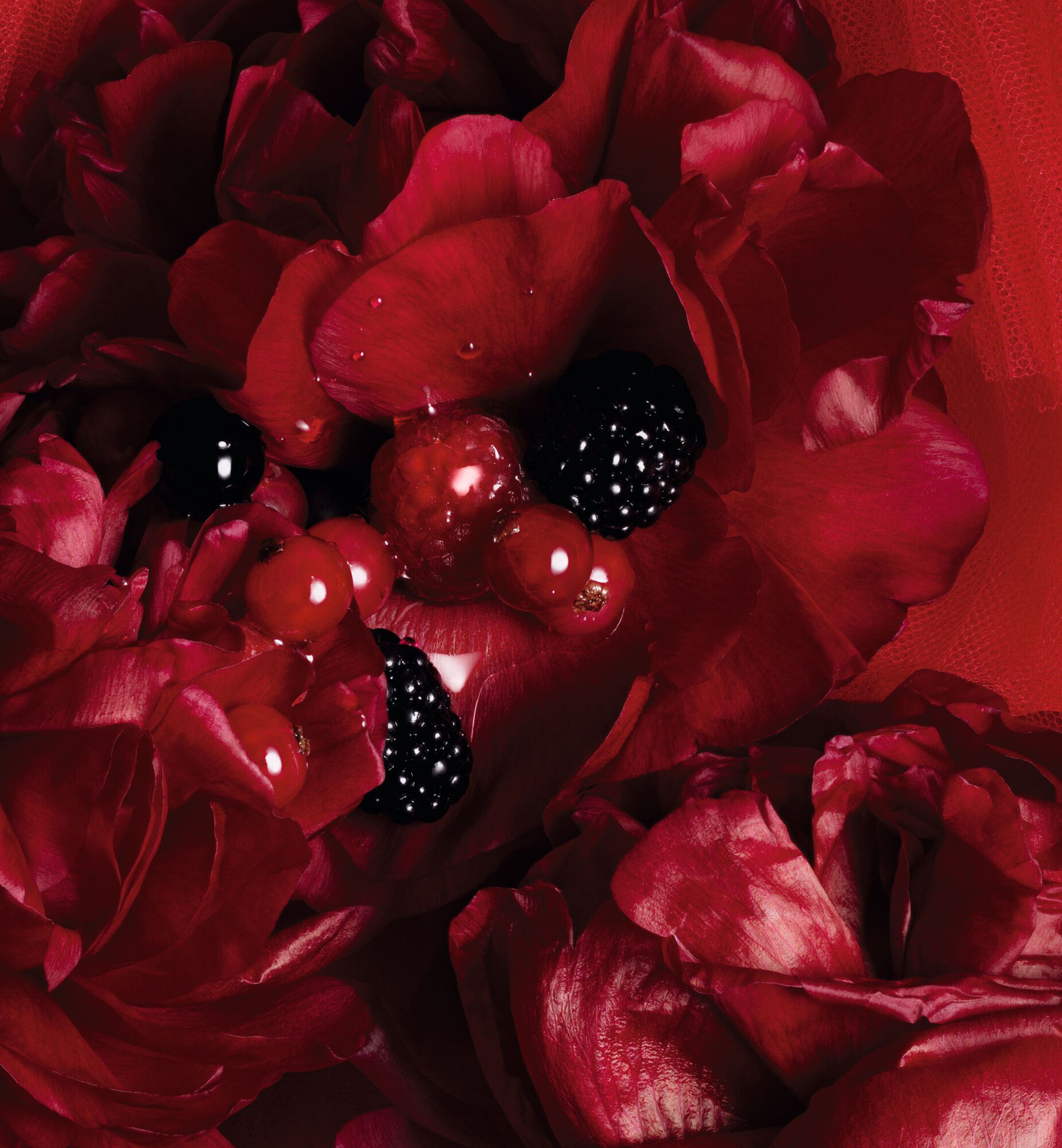 Rouge Trafalgar: Couture Unisex Fragrance with Red Berry Accords