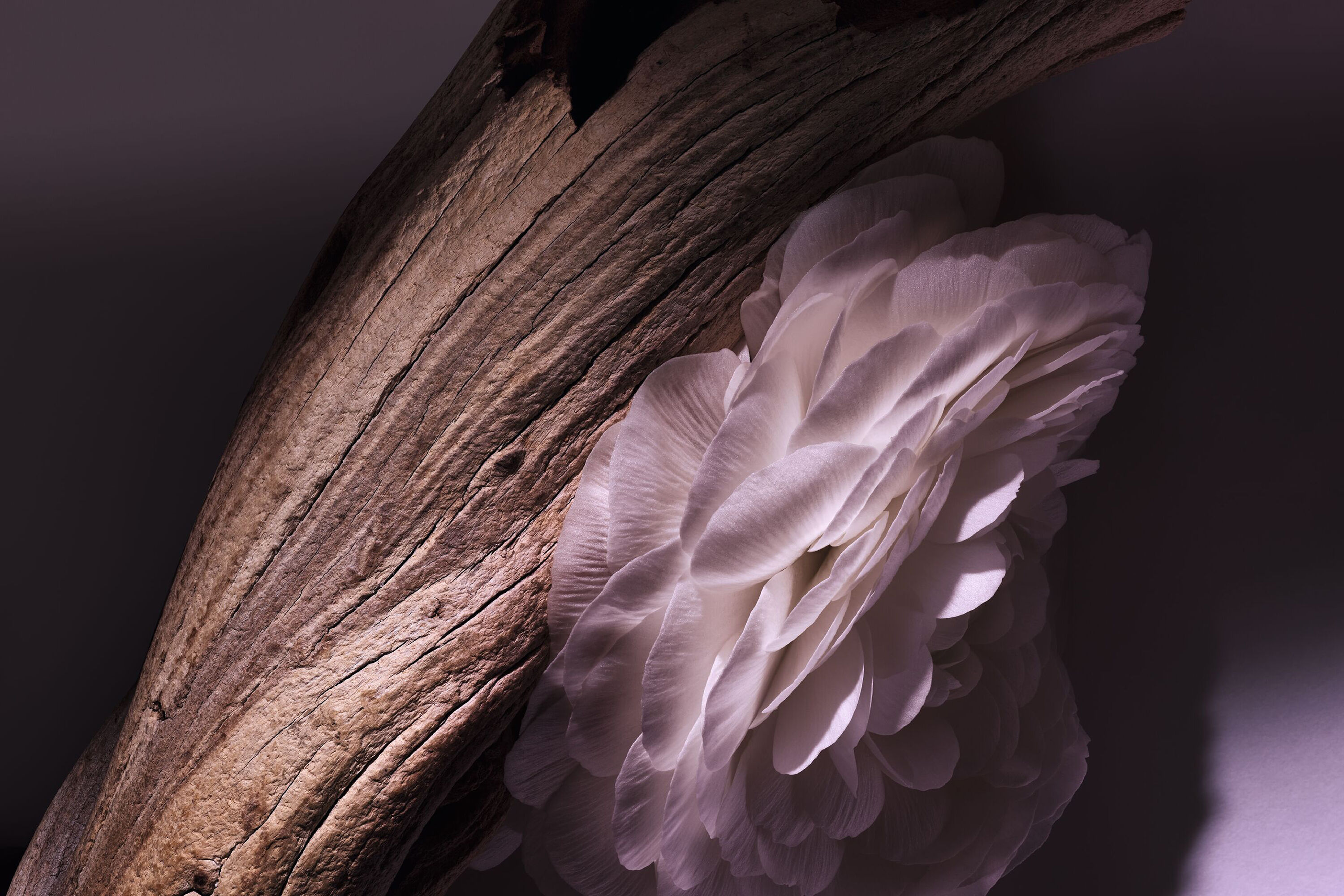 Y0840550_C099700686_E04_ZHC.