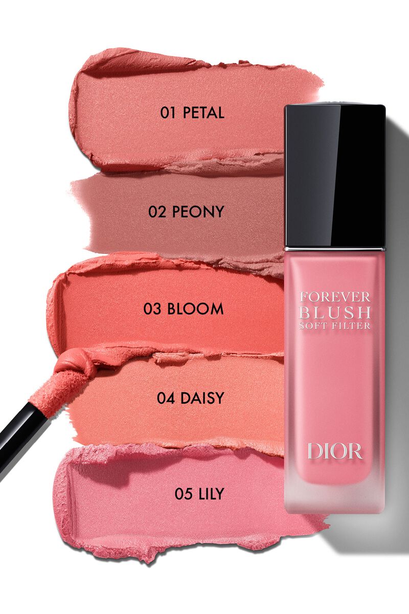 Dior Forever Blush Soft Filter