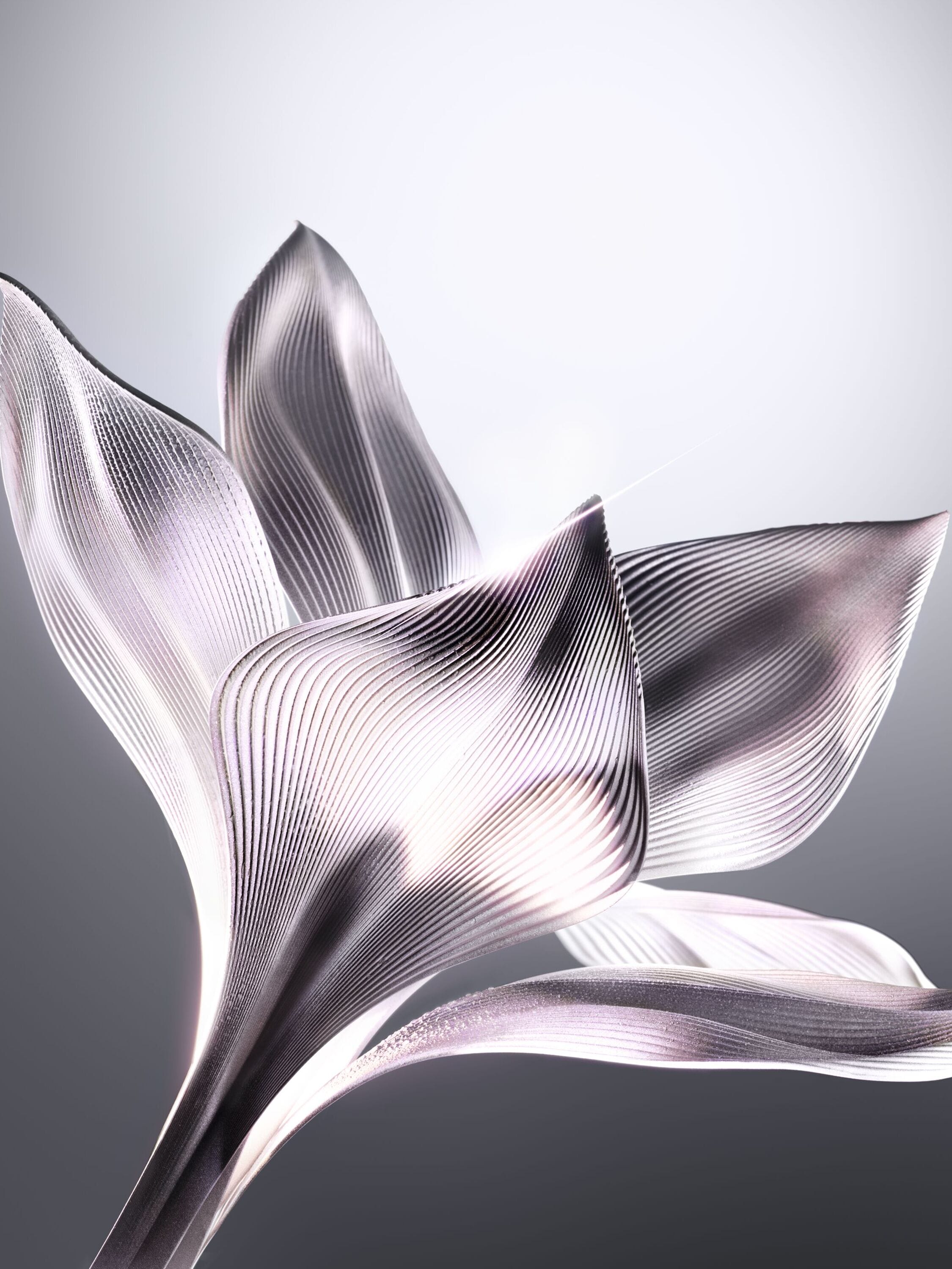 Revitalizing lily illustration