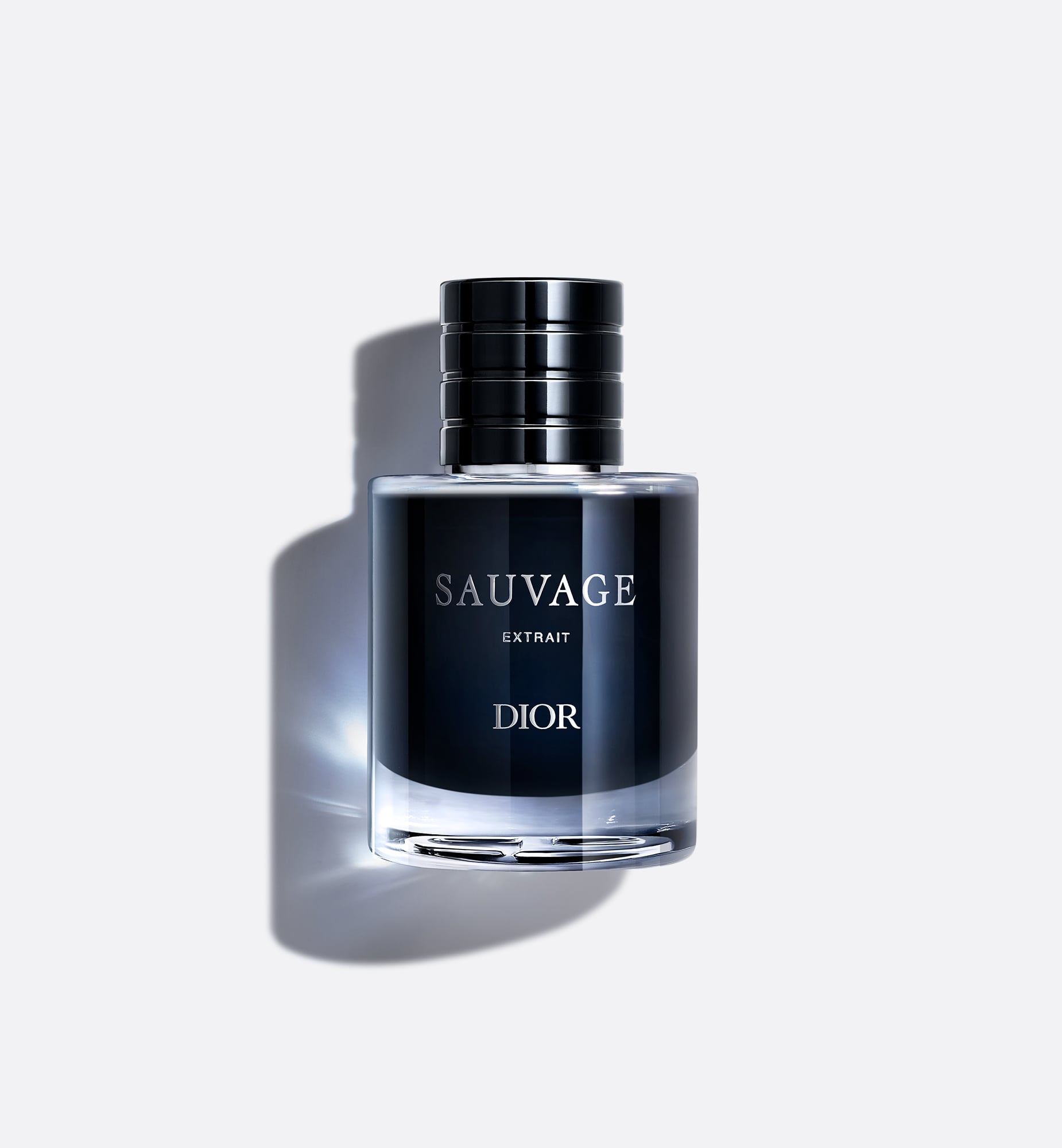 Dior Woody Notes In Transparent
