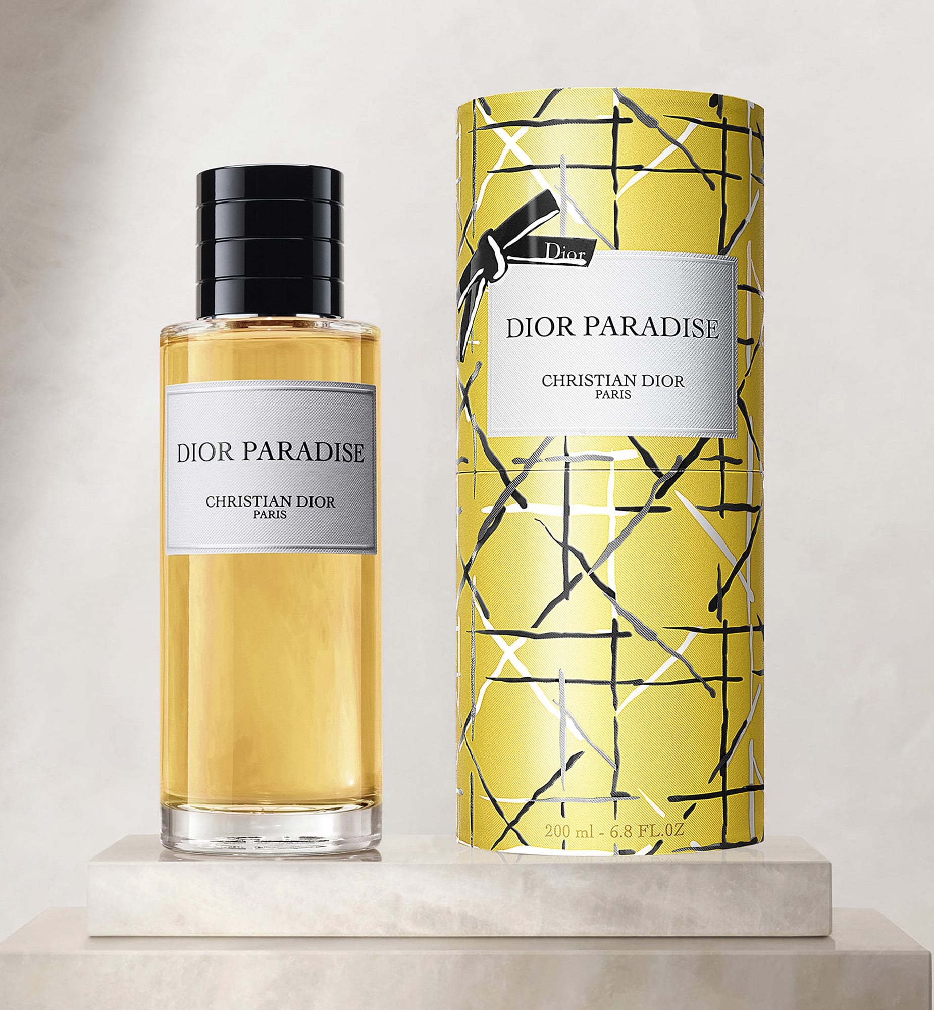 Dior Paradise In Transparent