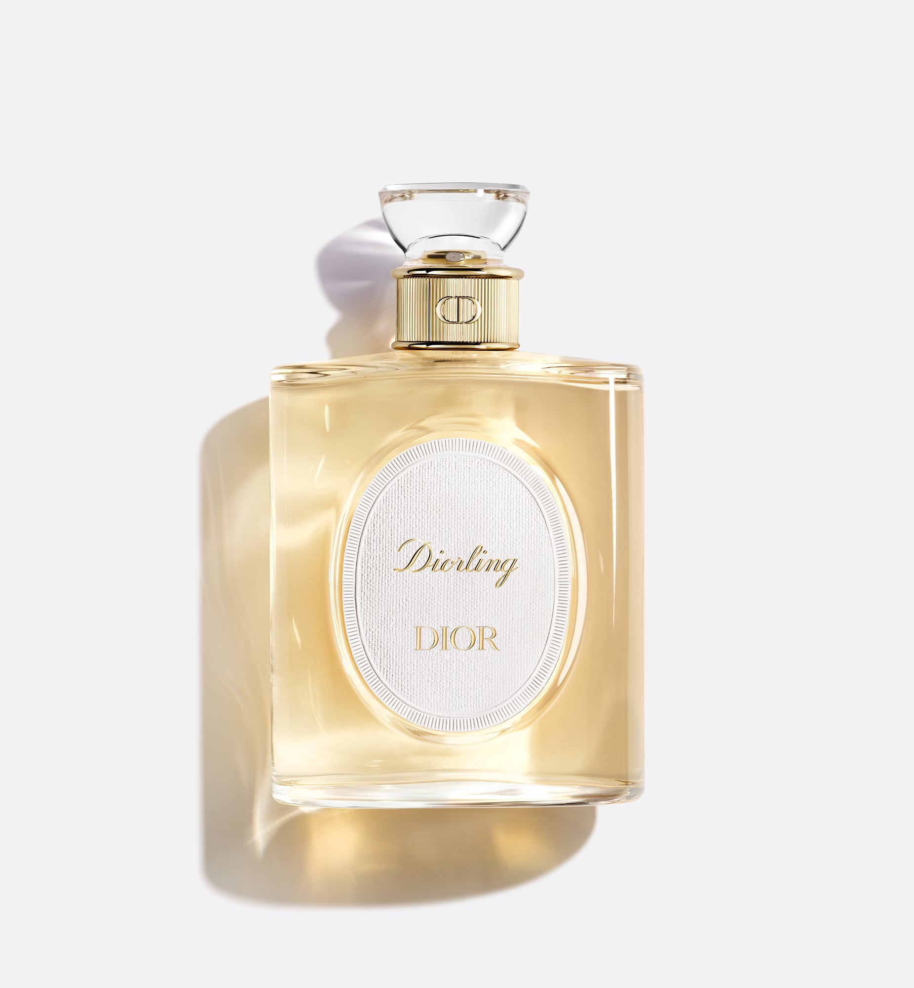 Dior Chypre And Leather Notes