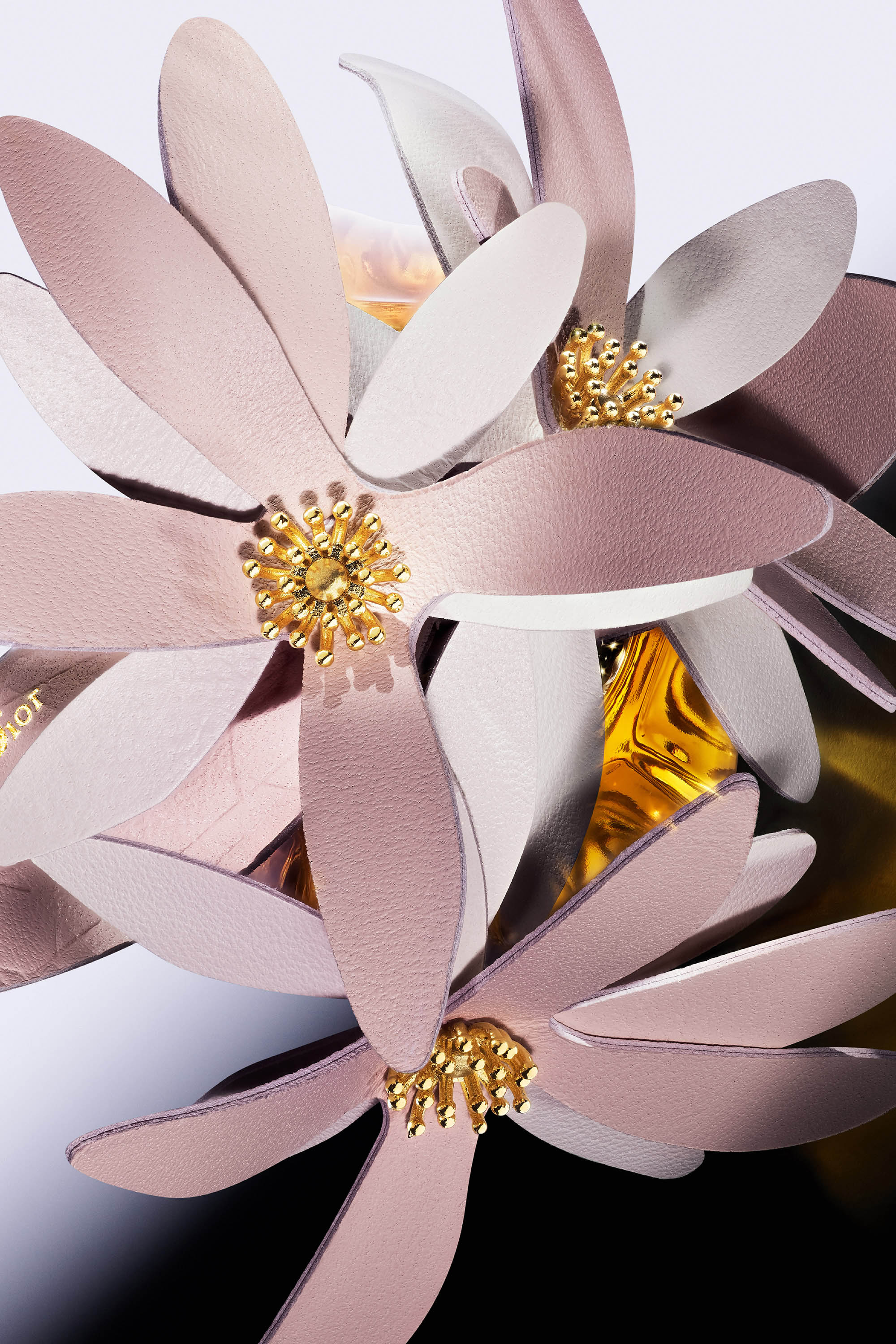 Les Récoltes Majeures Le Jasmin by Marie Barthès | Dior US