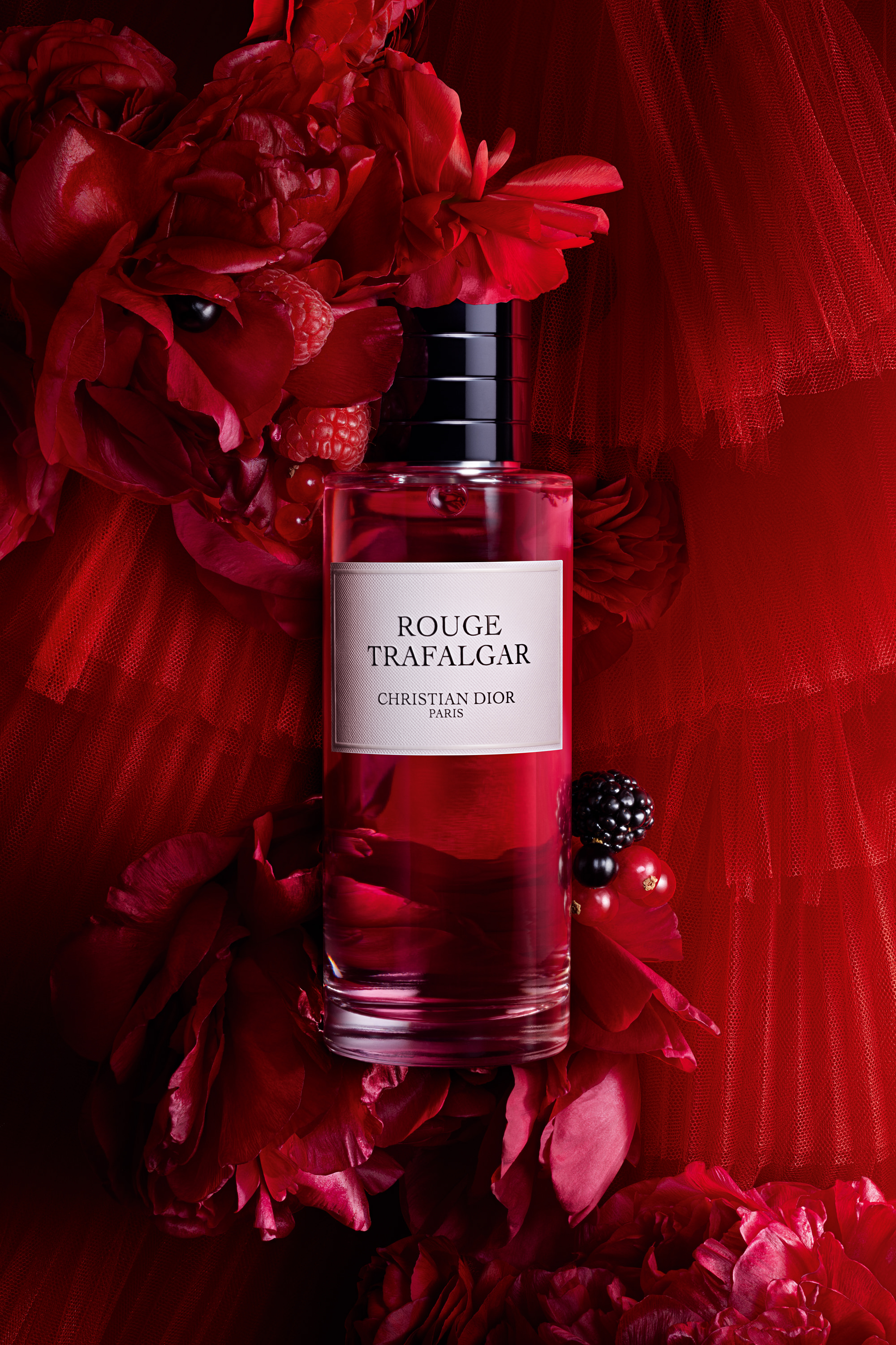 Rouge Trafalgar: Unisex perfume with Fruity Chypre Notes | DIOR SA