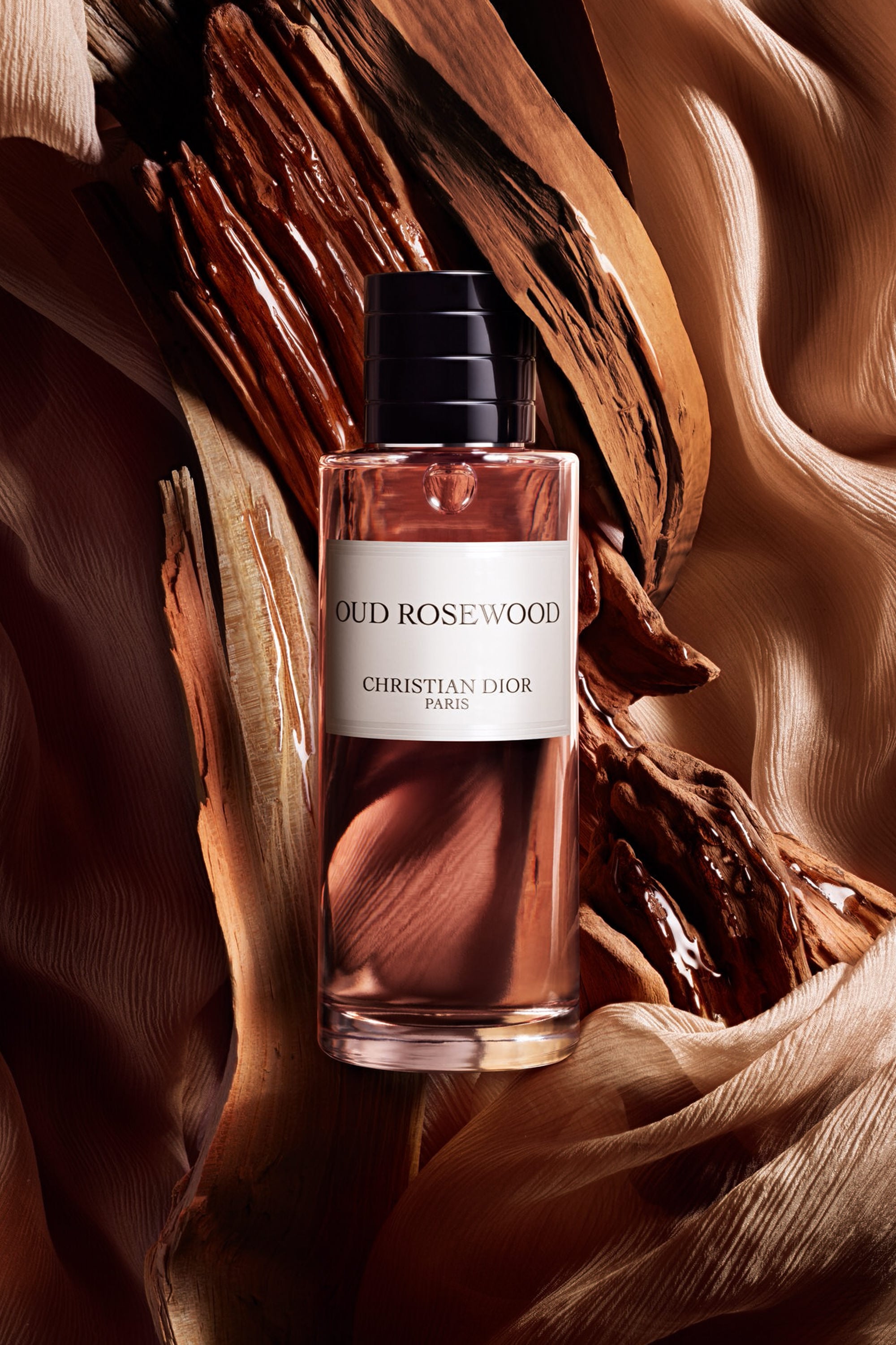 Diorクリスチャンディオール　ウードローズウッドオードゥパルファン100ml Y0996414_E000000202_E02_RHC.jpg