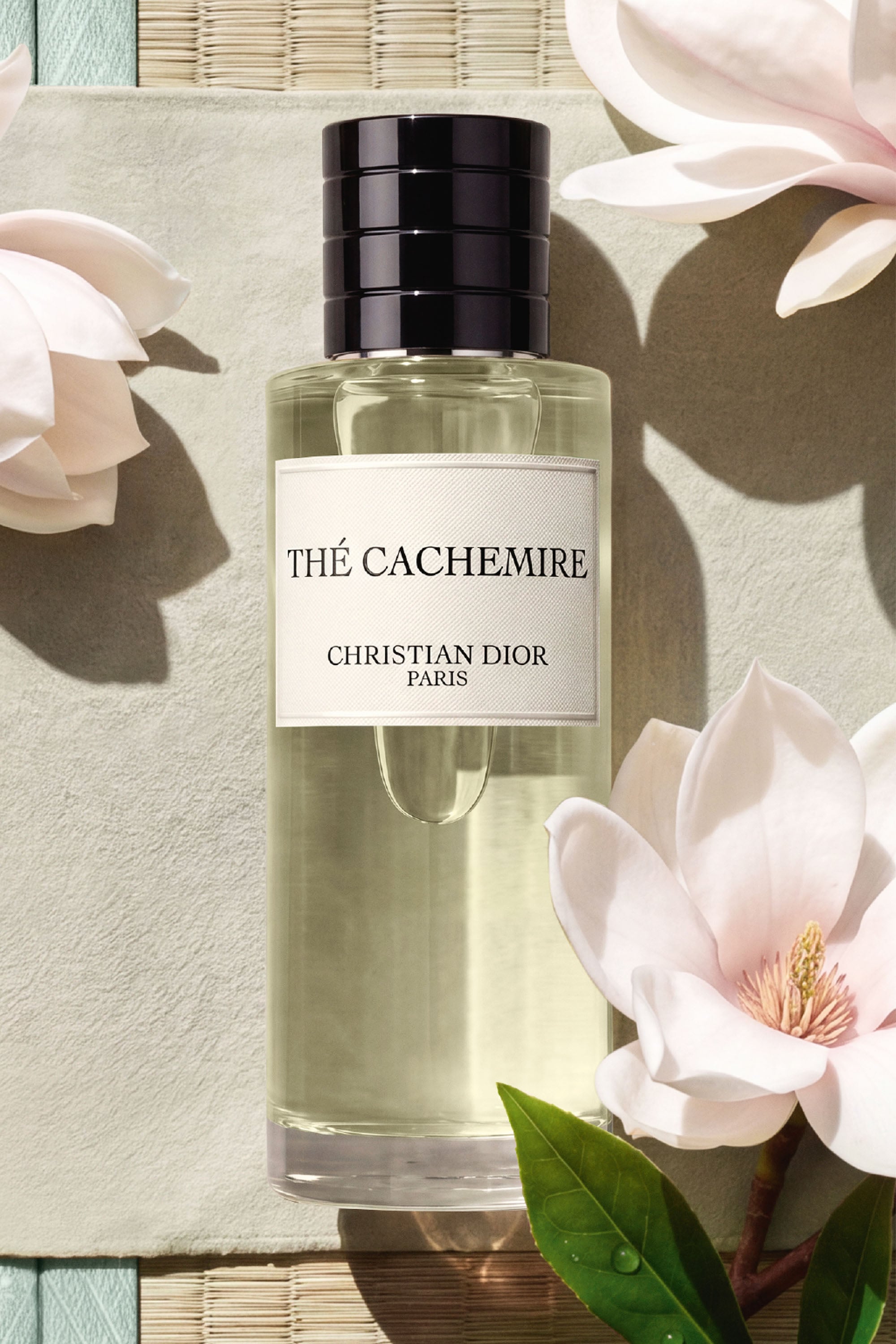DIOR】 新作 メゾン クリスチャン ディオール テ カシミア ラ コ