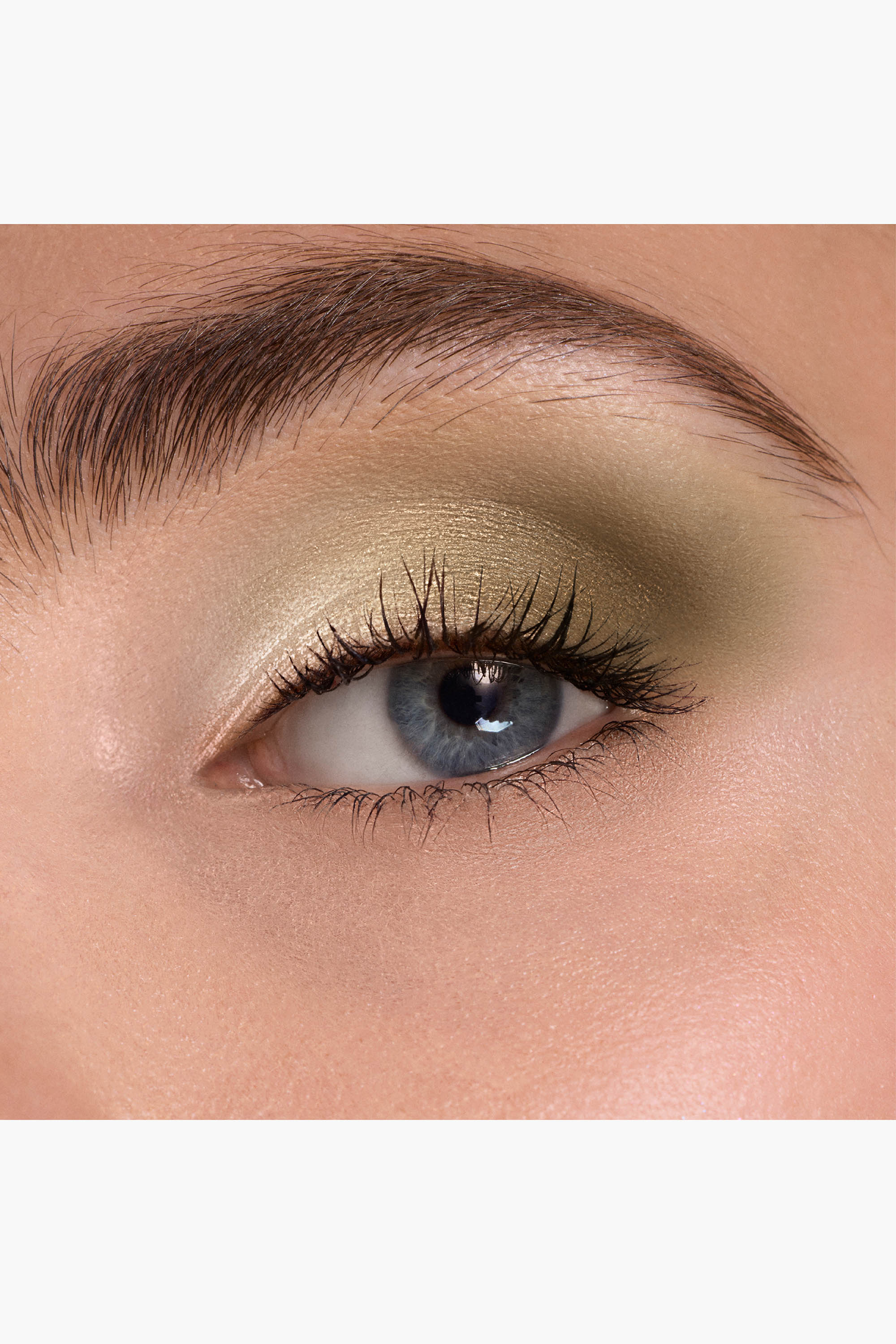 Diorshow 5 Couleurs: the iconic Dior eye palette in a limited