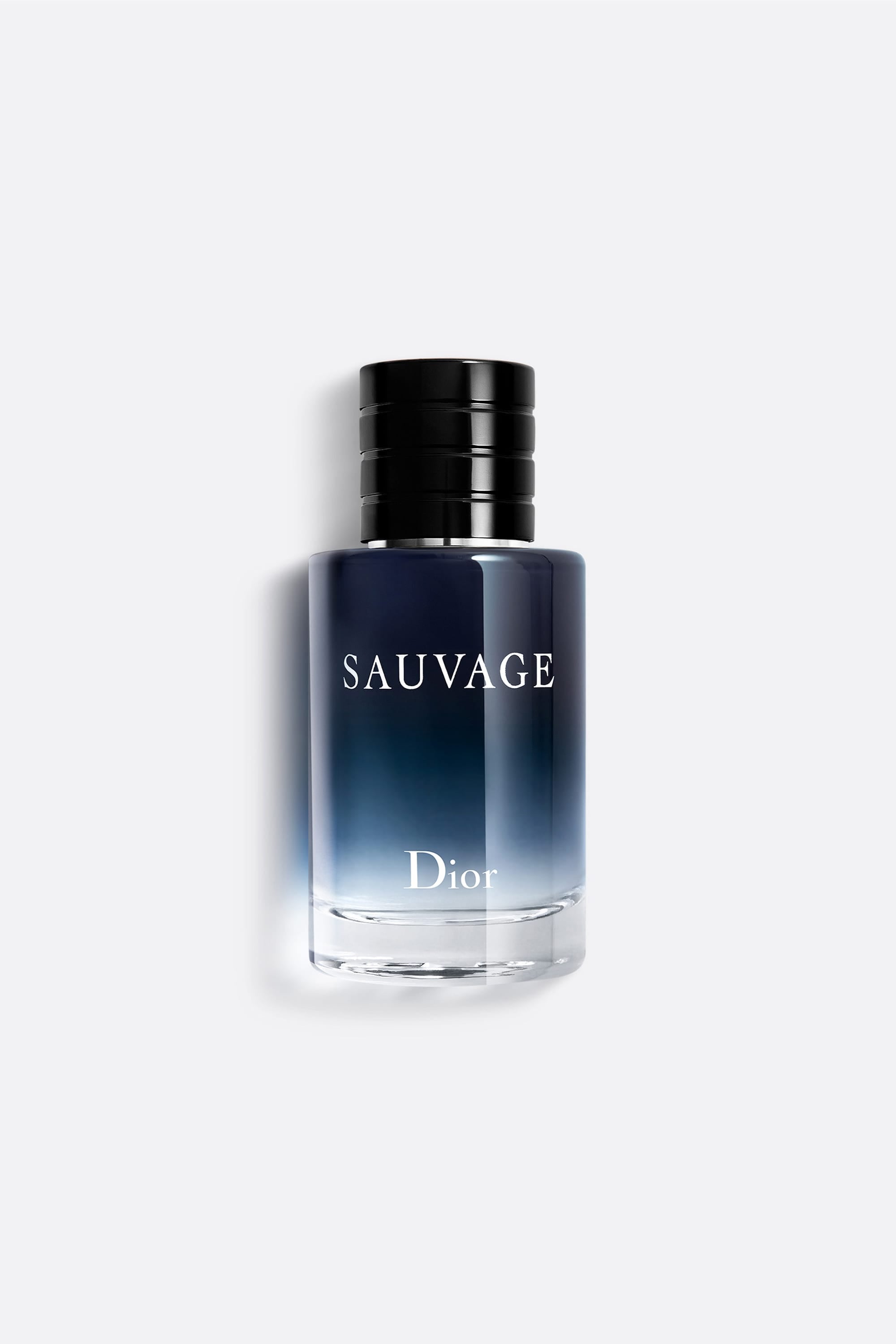 ディオール ソヴァージュ オードゥ トワレ 100ml Y0685240_F068522009_E01_RHC.jpg