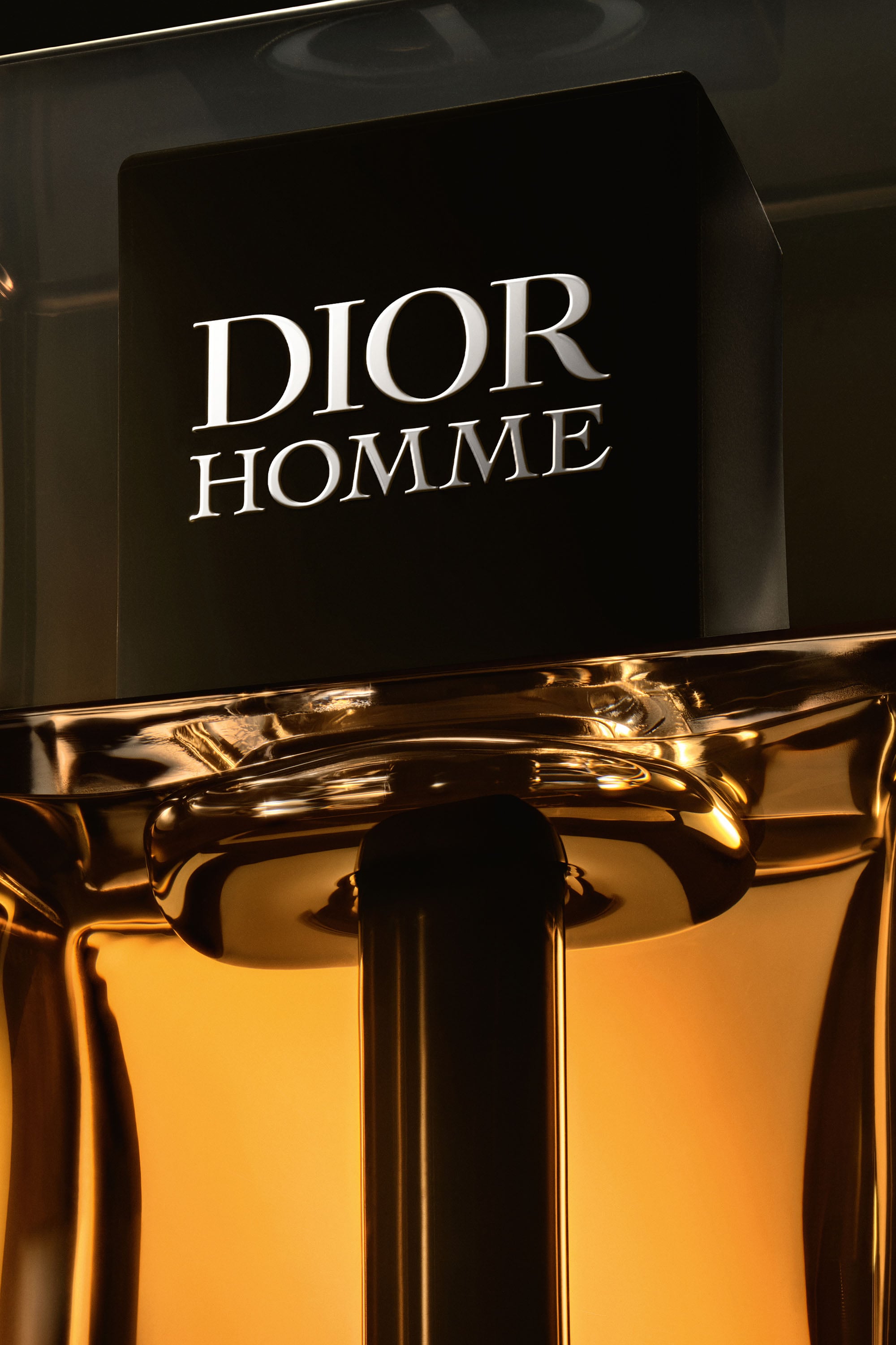 Dior Homme Intense Eau de Parfum for Men | DIOR US