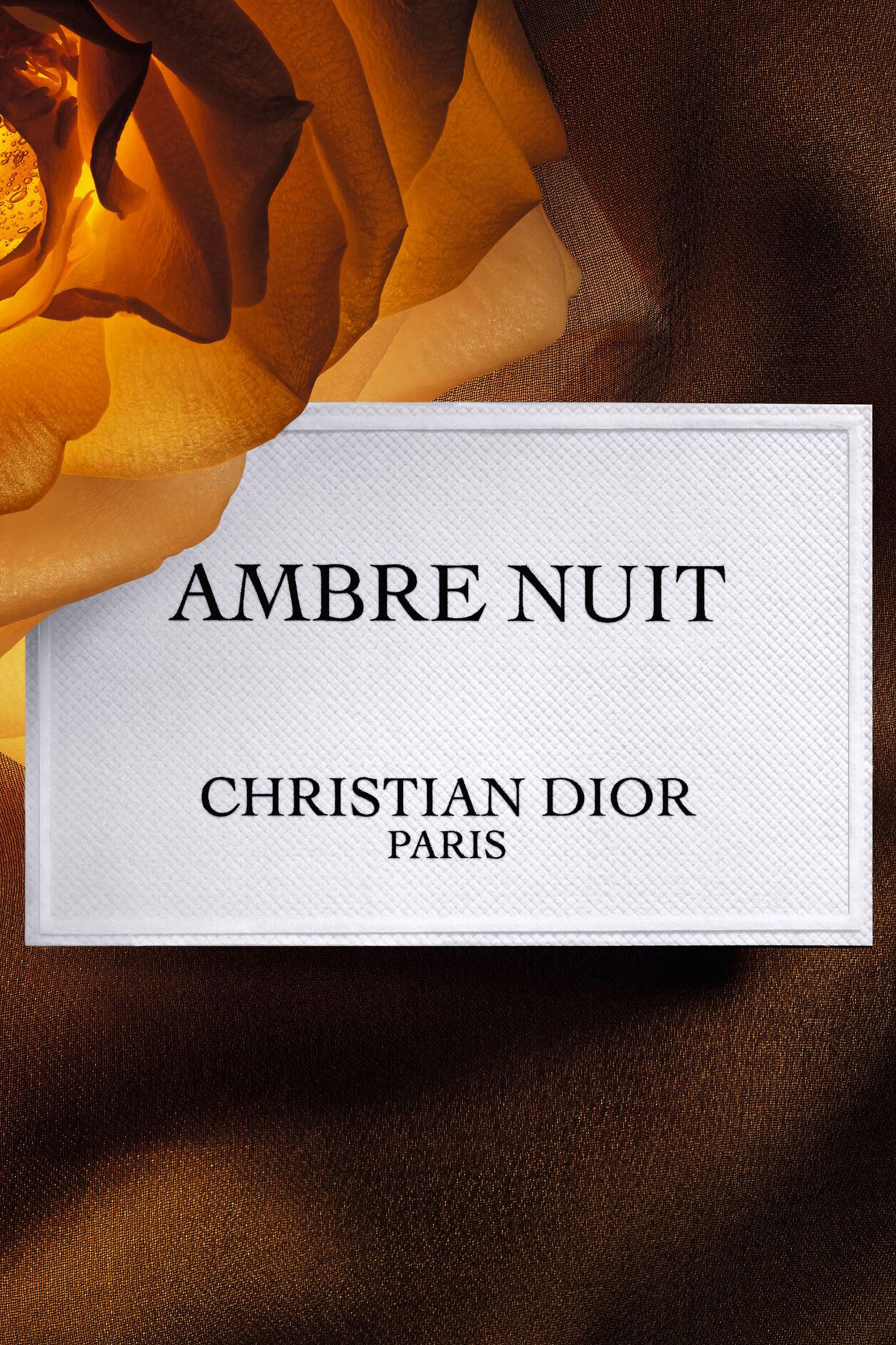 DIOR】 メゾン クリスチャン ディオール アンブル ニュイ ラ コ