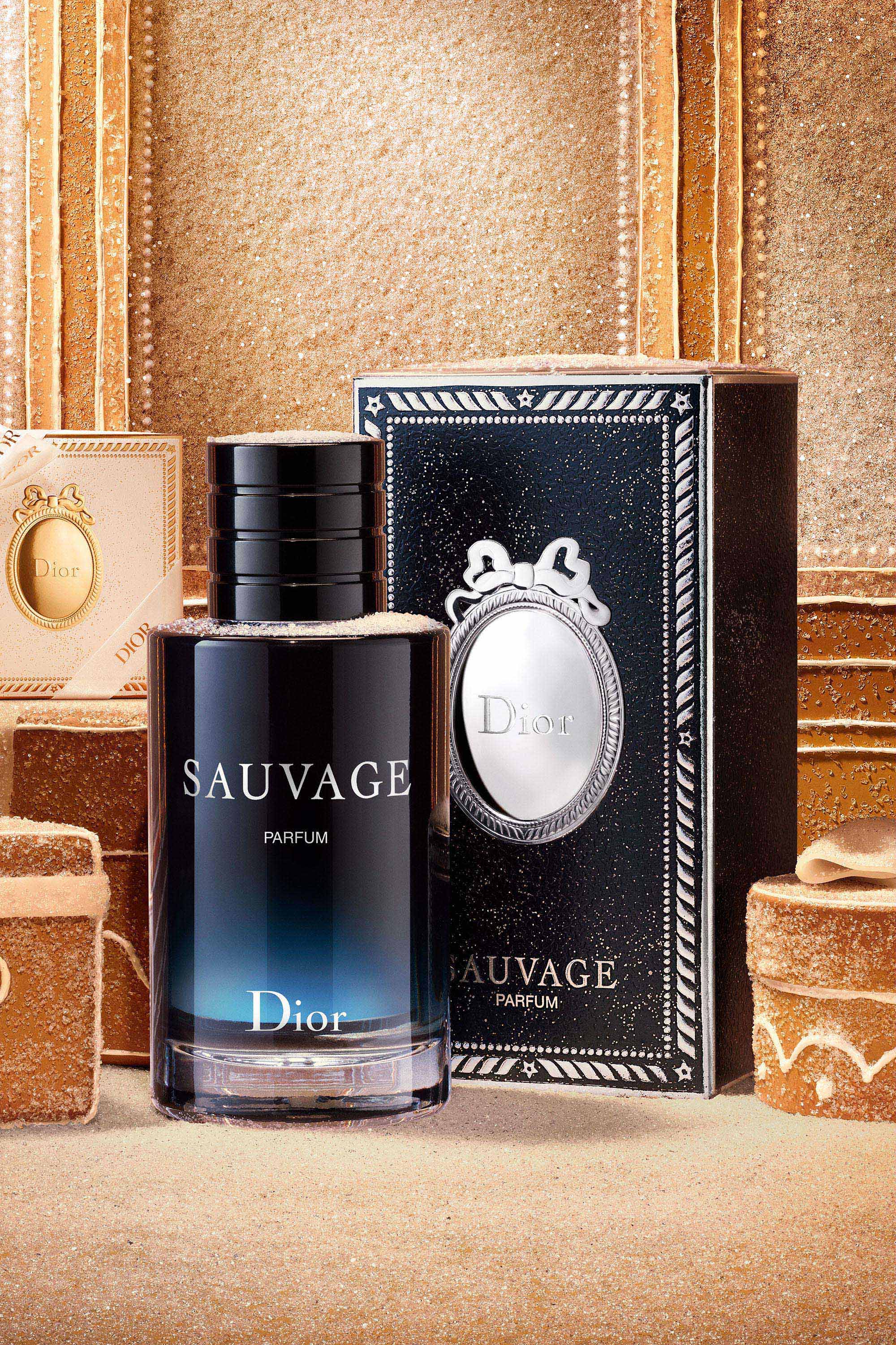 Sauvage Parfum Holiday 2026 Gift Case | Dior US