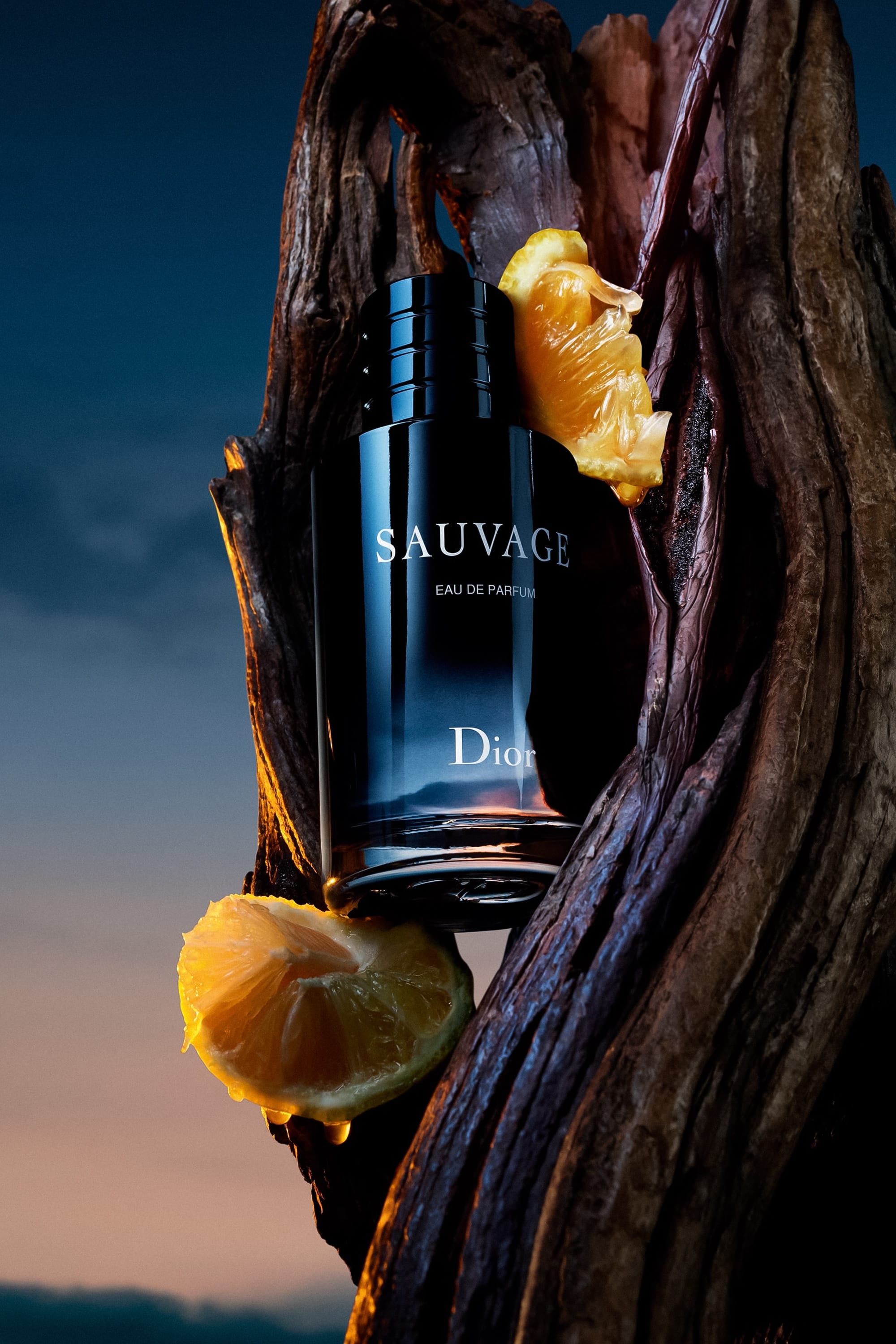 Sauvage Eau de Parfum Refill: Citrus and Vanilla Fragrance | Dior US