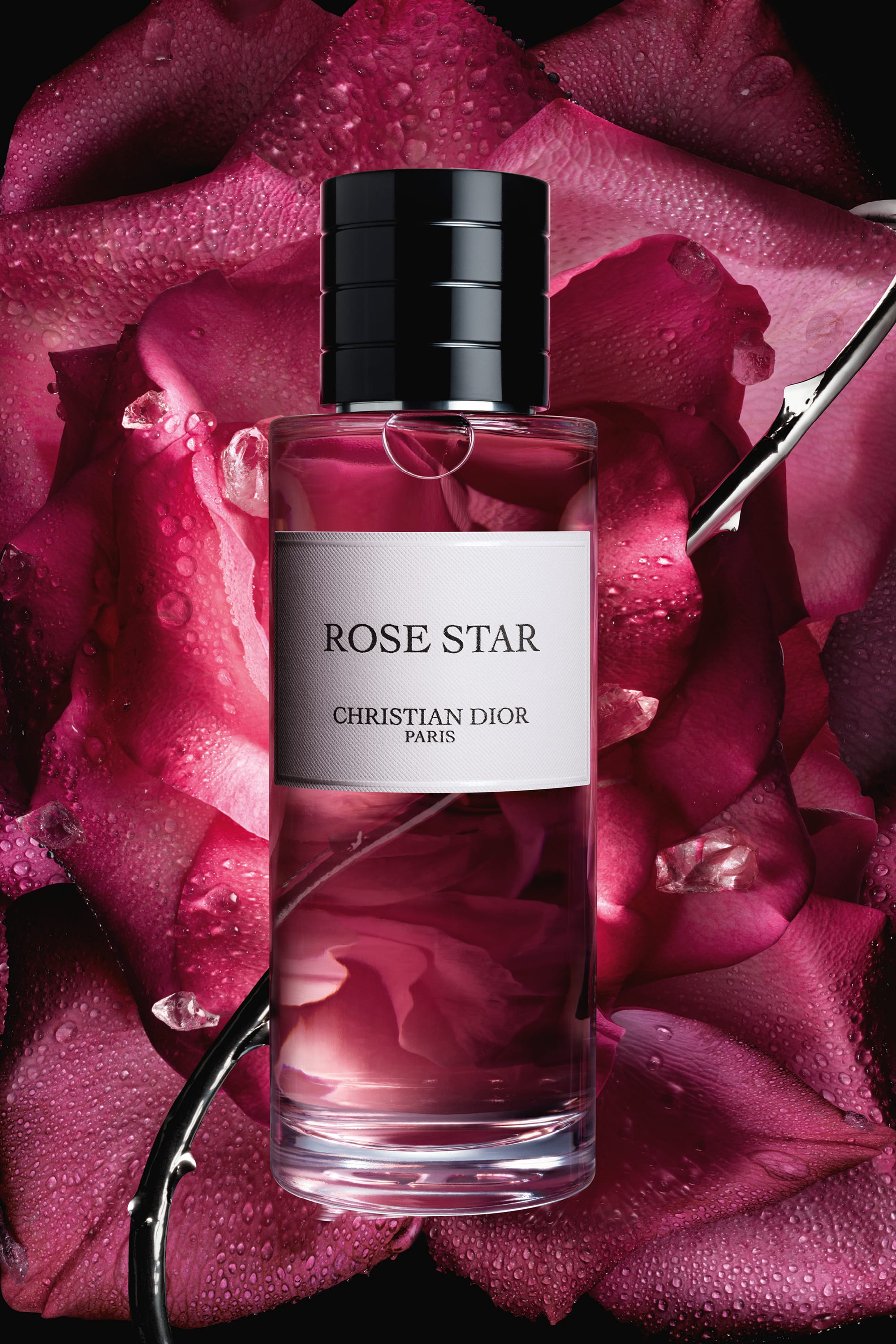 Rose Star: Unisex Eau de Parfum with Floral and Ambery Notes | DIOR LU