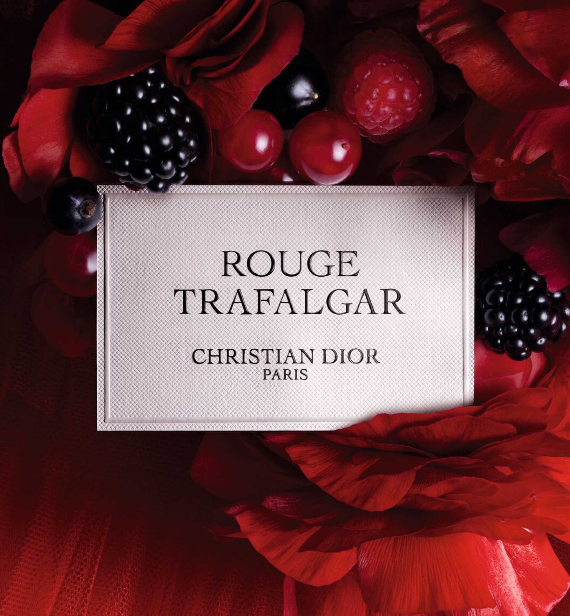 DIOR】 新作 メゾン クリスチャン ディオール ルージュ トラファルガー