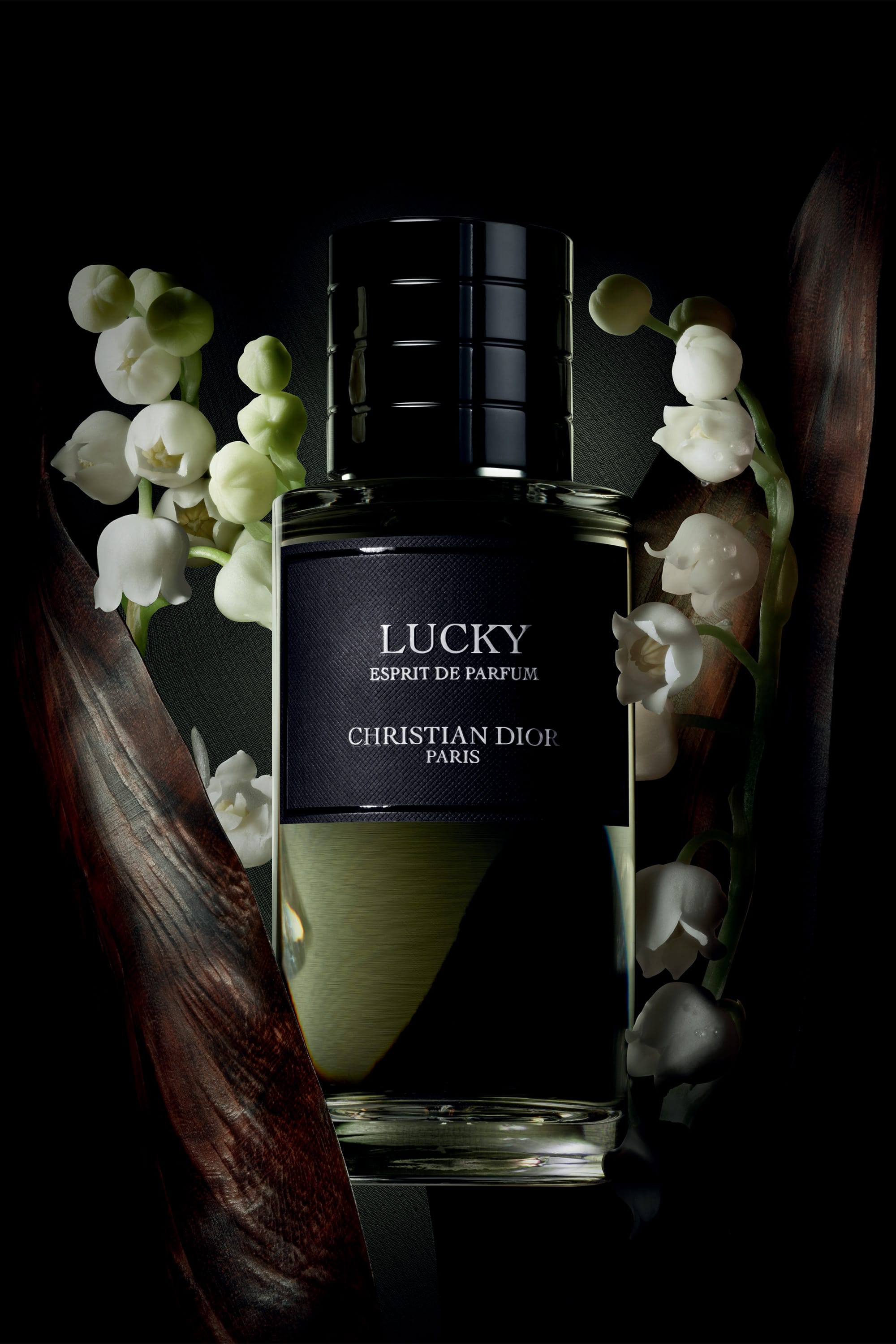 香水(女性用) CHRISTIAN DIOR LUCKY 40ml Y0997185_C099800162_E02_RHC.jpg