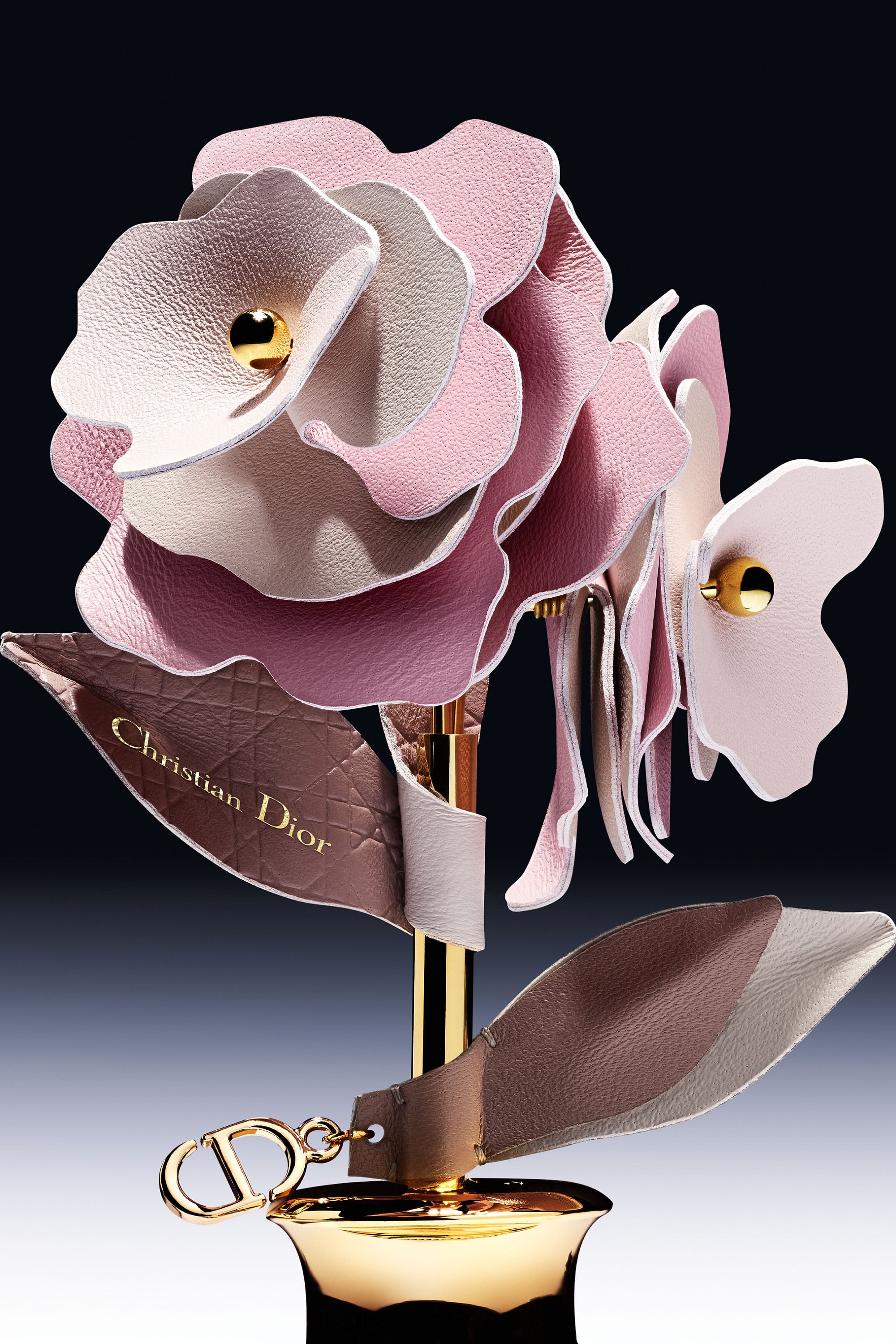 Les Récoltes Majeures La Rose by Marie Barthès | Dior US