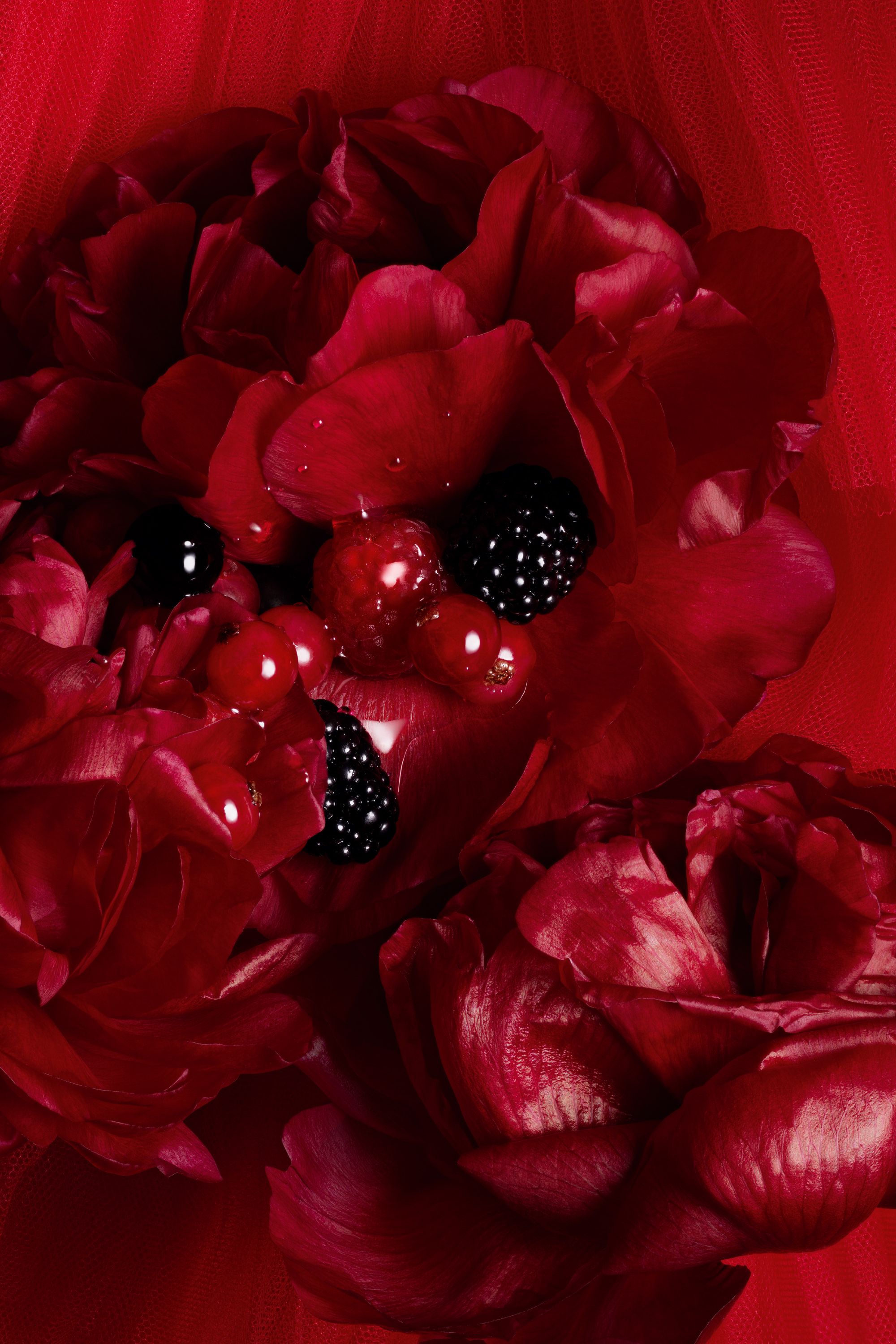 DIOR】 新作 メゾン クリスチャン ディオール ルージュ トラファルガー