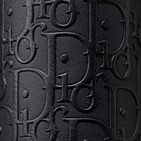 Leather Dior Oblique