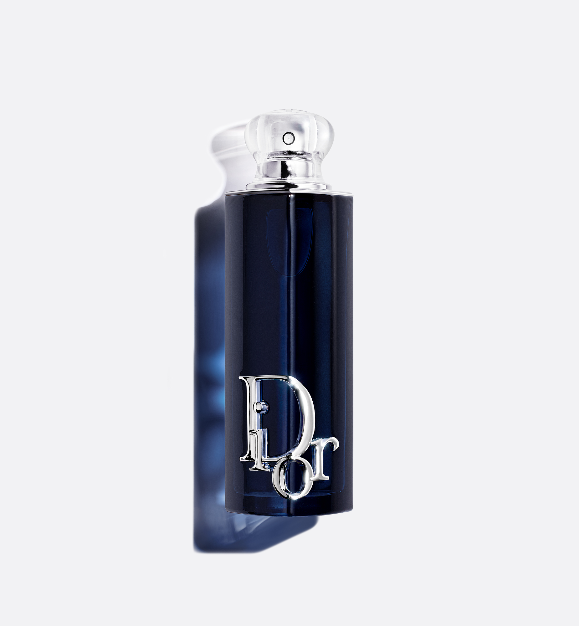 Dior Addict Eau de Parfum | Dior MY